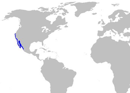 Horn Shark Distribution Map