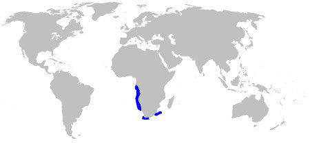Southern African Frilled Shark Distribution Ma
