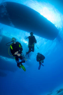 Scuba Divers Scuba Divers